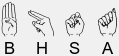 BHSA Logo